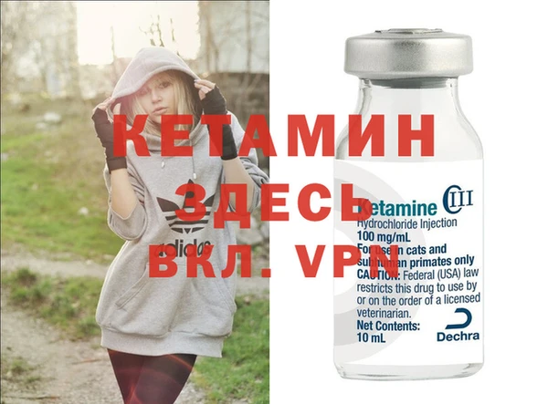 spice Аркадак